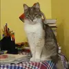Отзыв от Наталия Казакова